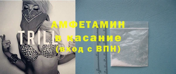 ПСИЛОЦИБИНОВЫЕ ГРИБЫ Михайлов