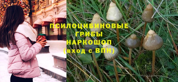 шишки Медногорск