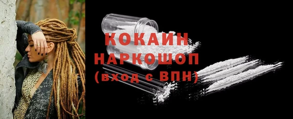 ПСИЛОЦИБИНОВЫЕ ГРИБЫ Михайлов