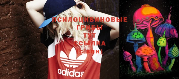 ПСИЛОЦИБИНОВЫЕ ГРИБЫ Михайлов