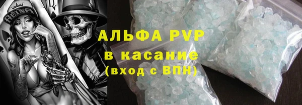 ПСИЛОЦИБИНОВЫЕ ГРИБЫ Михайлов
