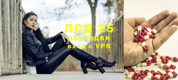 ПСИЛОЦИБИНОВЫЕ ГРИБЫ Михайлов