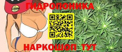 apvp Канаш