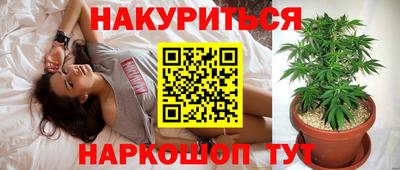 каннабис Кандалакша