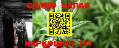 apvp Канаш