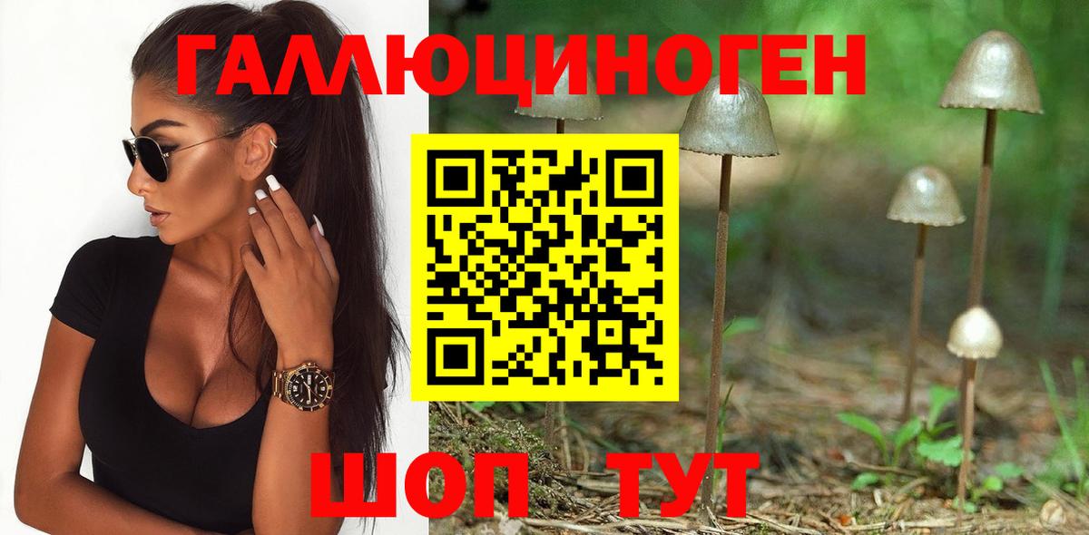 Новоалтайск  Галлюциногенные грибы Magic Shrooms  Галлюциногенные грибы прущие грибы  Вход с VPN 