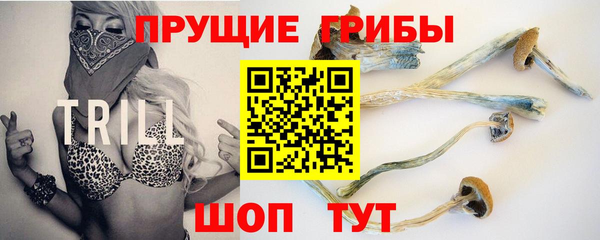 Галлюциногенные грибы Cubensis Новоалтайск