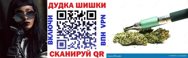 кракен ТОР  Новоалтайск  Канабис план 